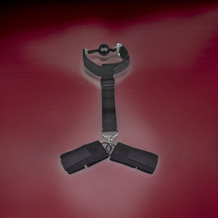 BONDAGE & ARNESES